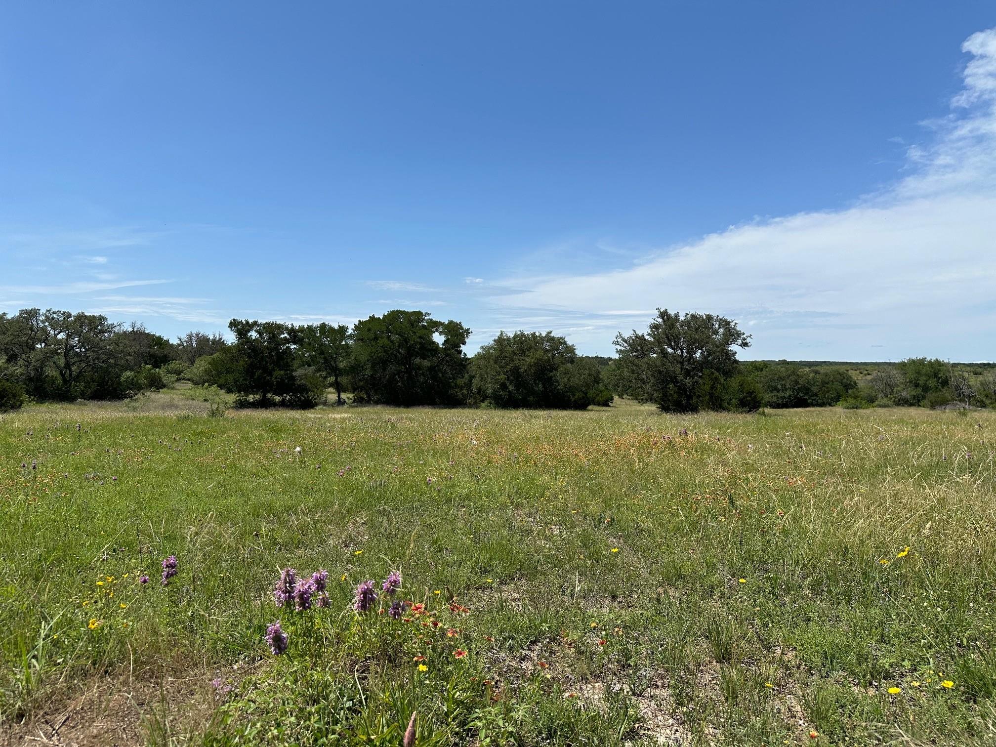 23 acres County Road 330 — photo 4