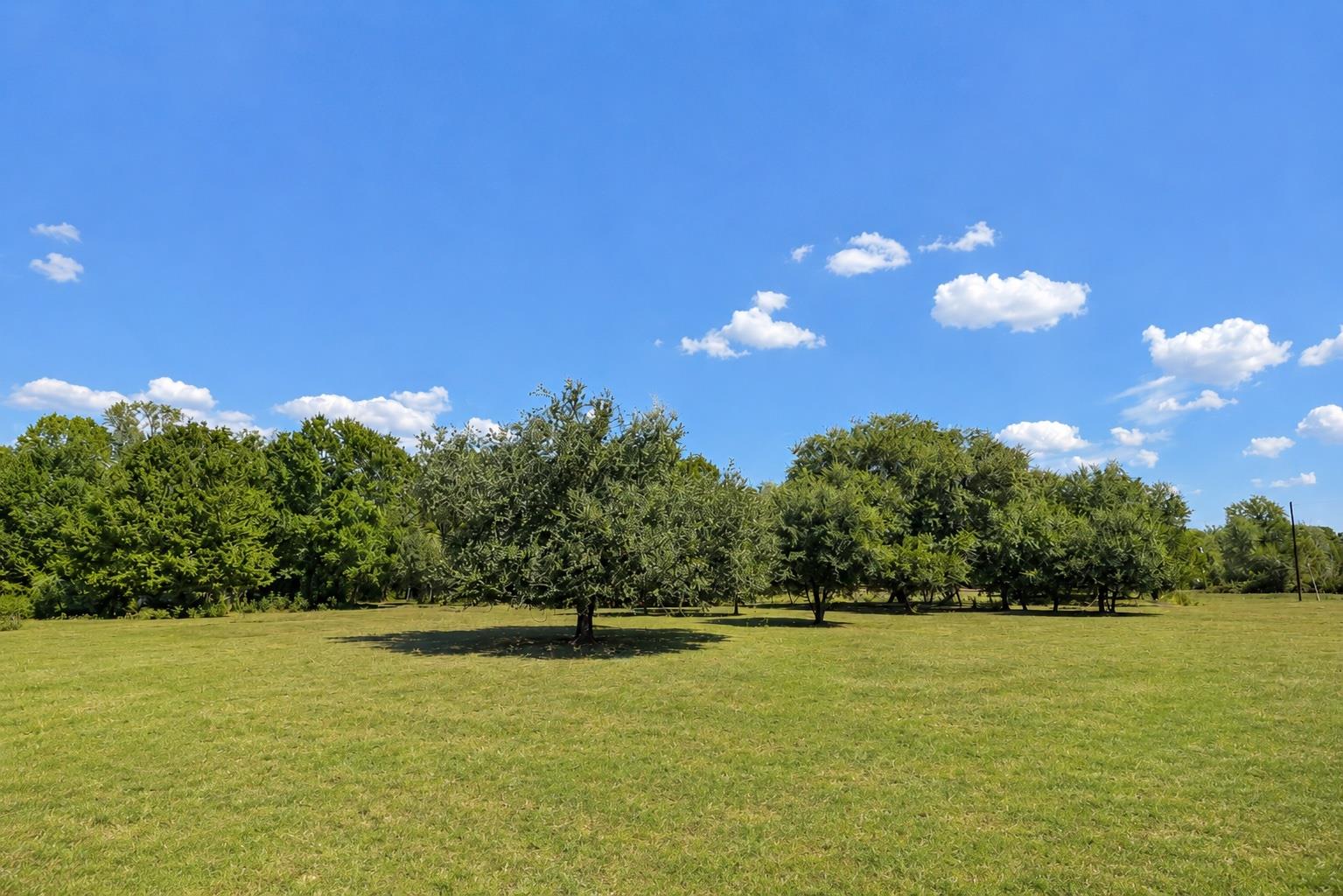 3995 COUNTY ROAD 405 — photo 3
