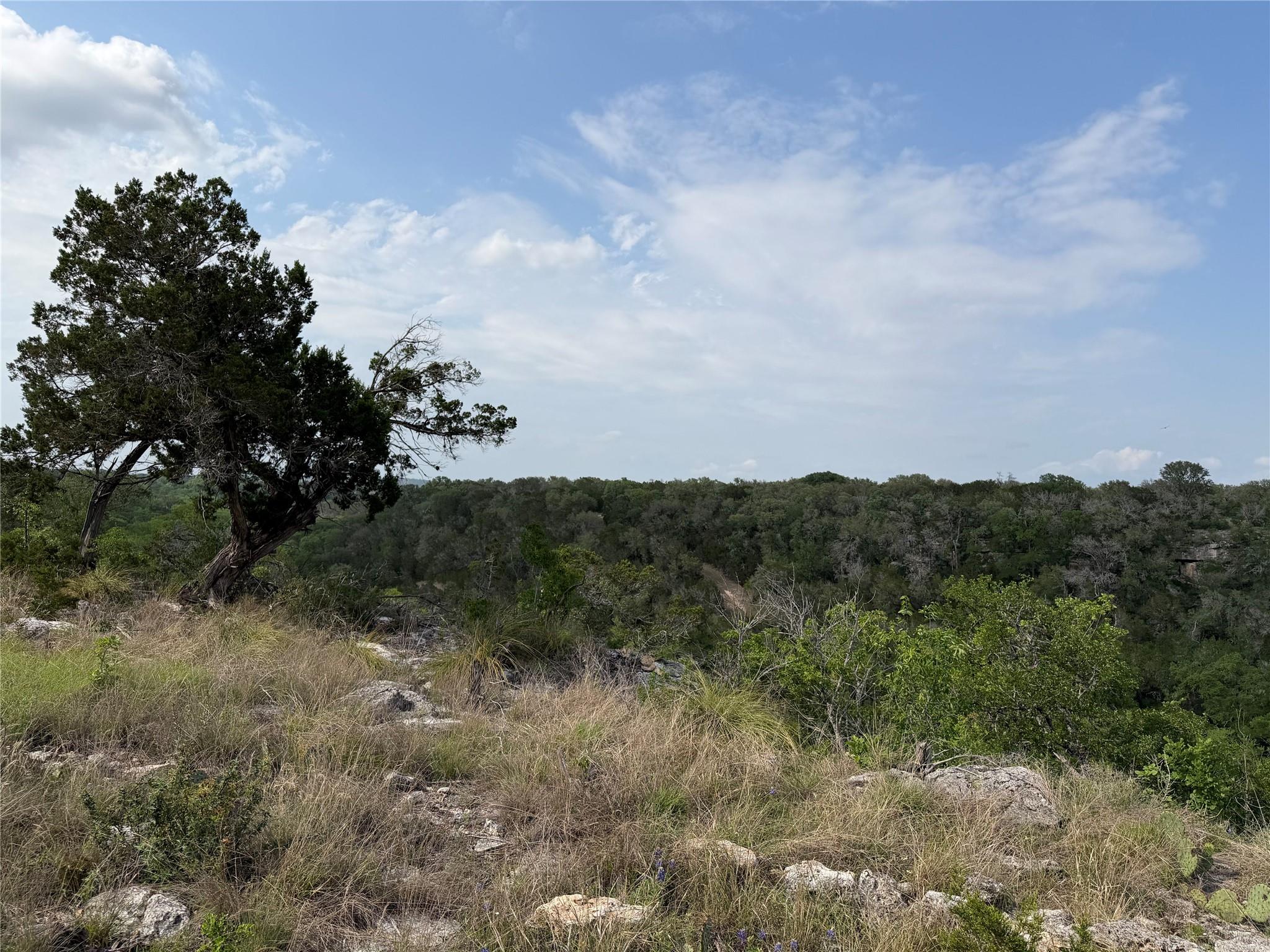8219 Hammetts Crossing XING — photo 4