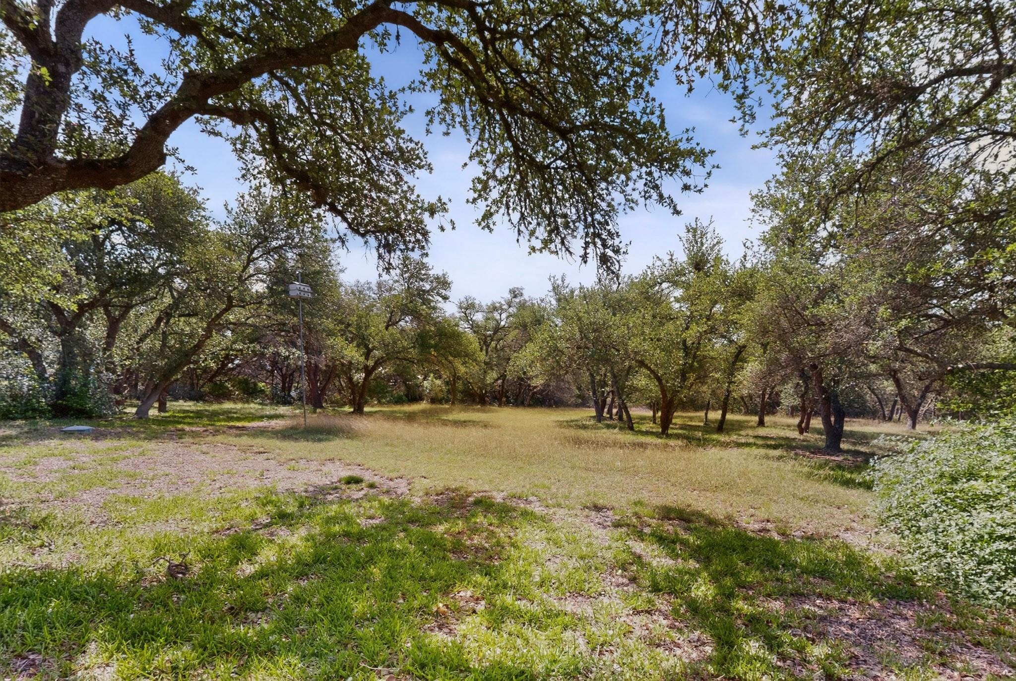 1003 Pier Branch RD — photo 5