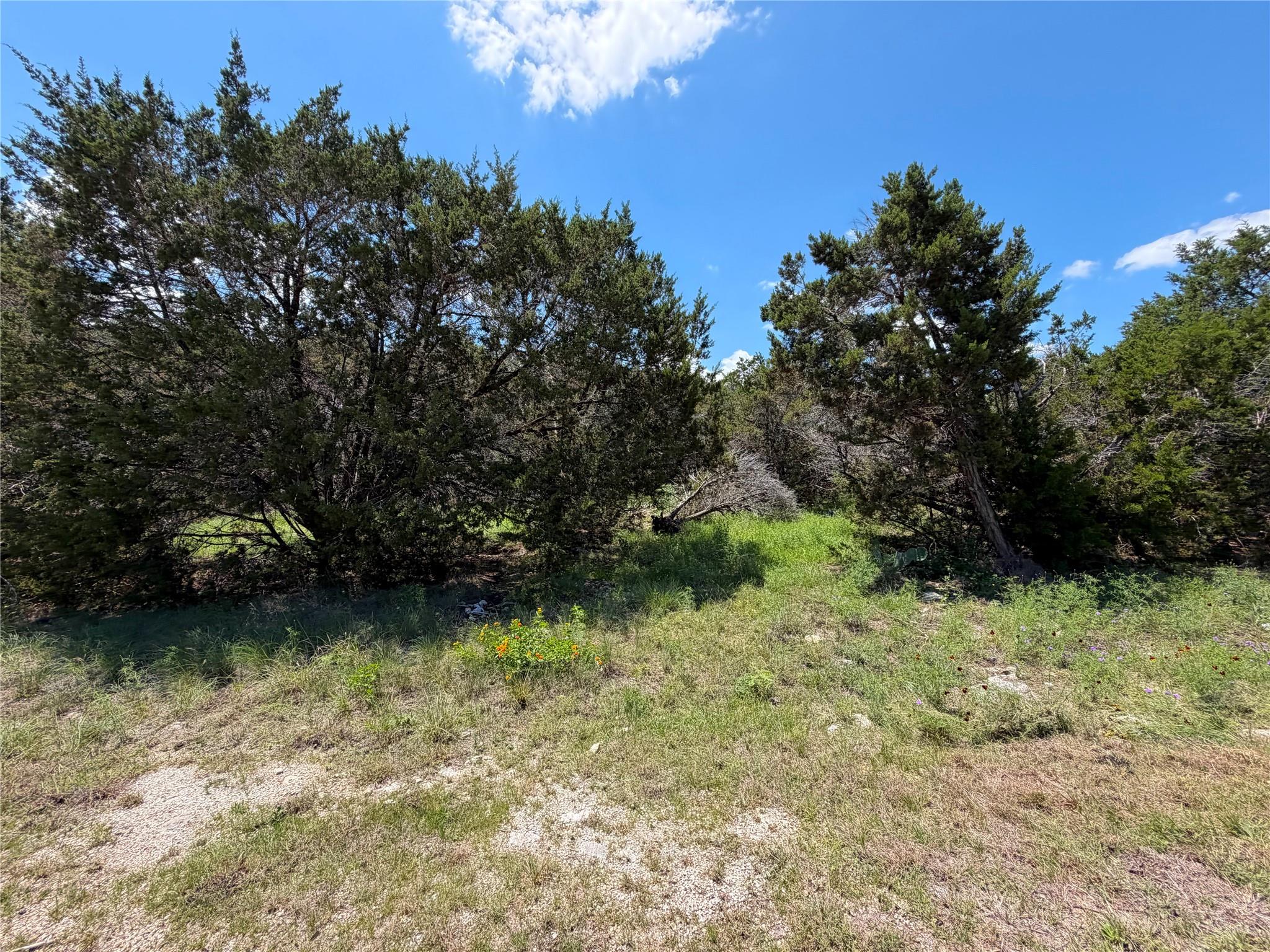 1841 Canyon Lake DR — photo 4
