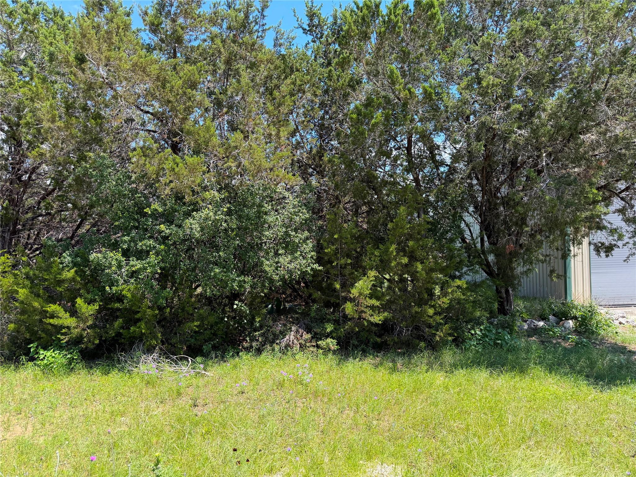 560 Hummingbird HL — photo 3