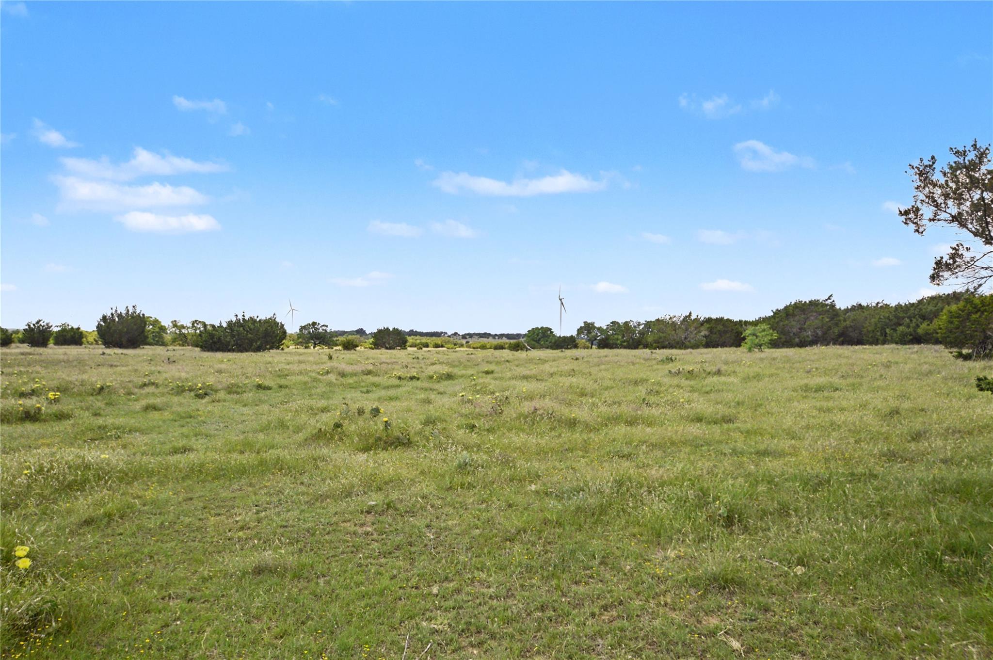 179 Country Rd 318 2 RD — photo 3