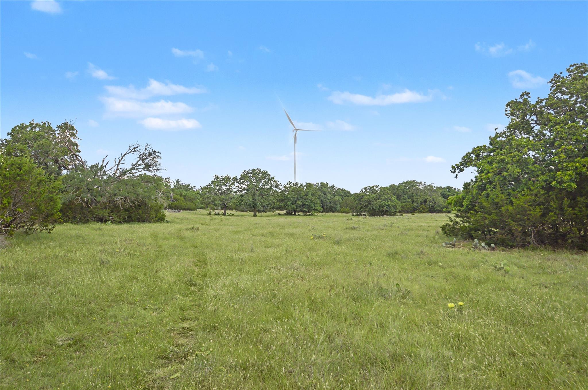 179 Country Rd 318 2 RD — photo 4
