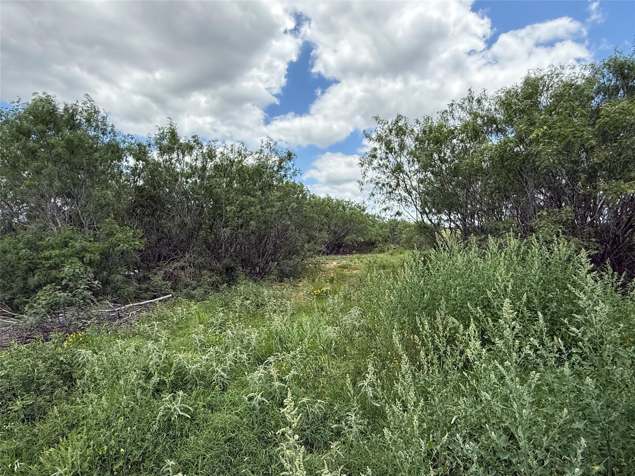 TBD 000 Pettytown RD — photo 3