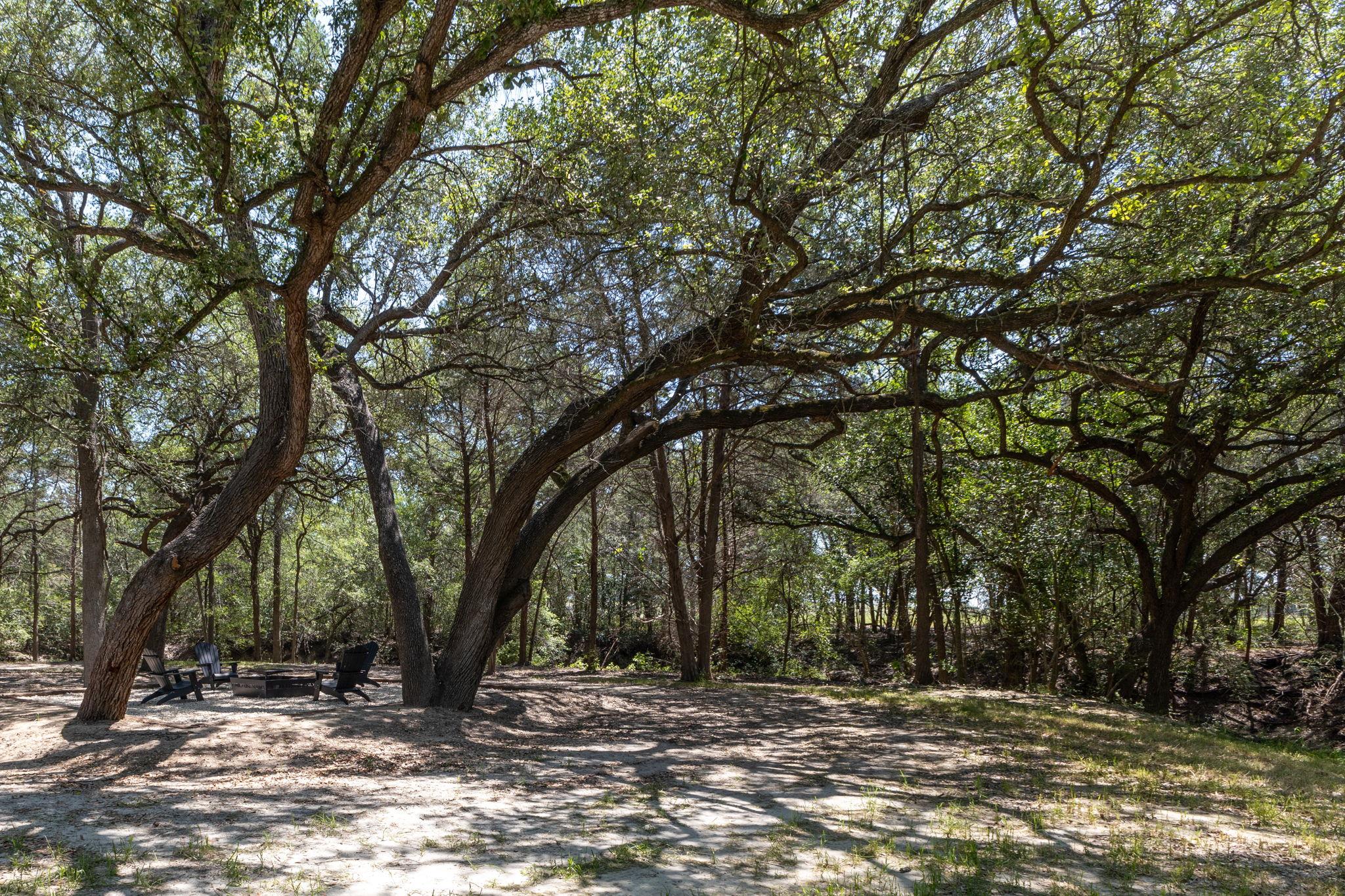 2088 (Tract #3) Baca LOOP — photo 4