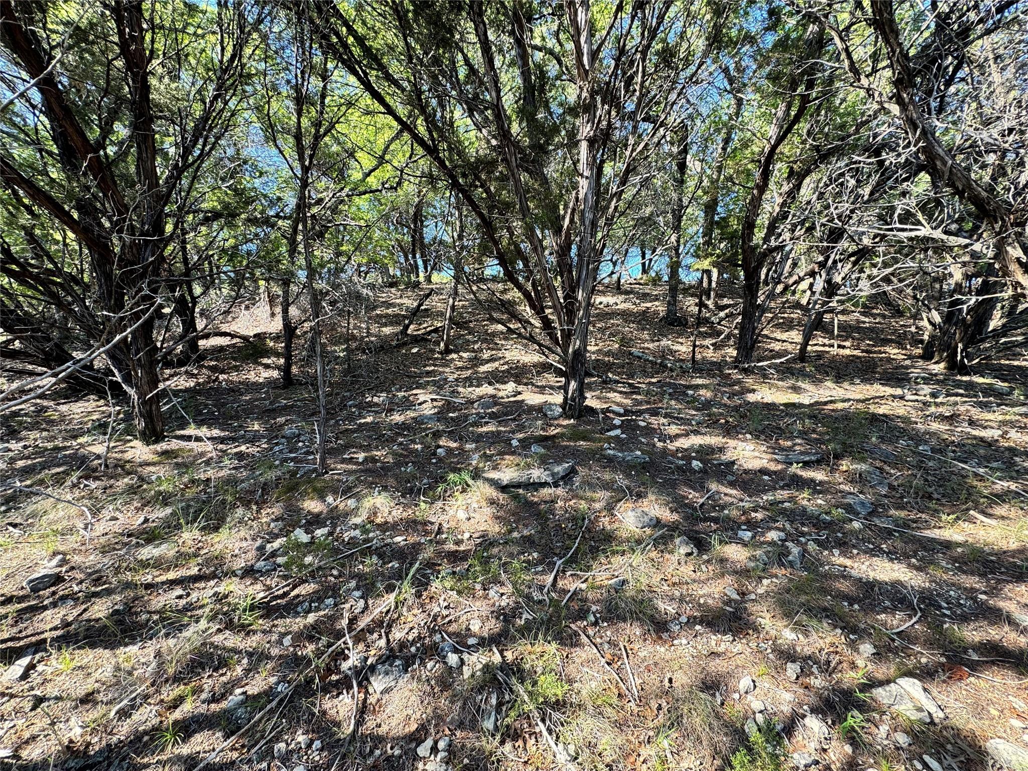 7921 Folklore CIR — photo 4