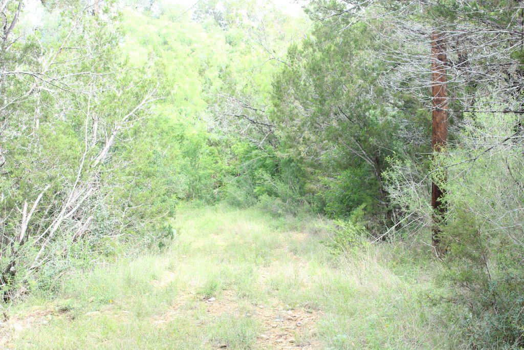 475 County Road 343-A RD — photo 4
