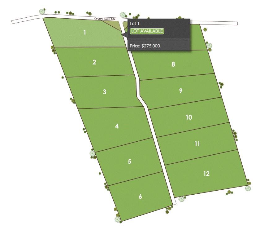 1115 Tract - 1 County Road 204 — photo 4