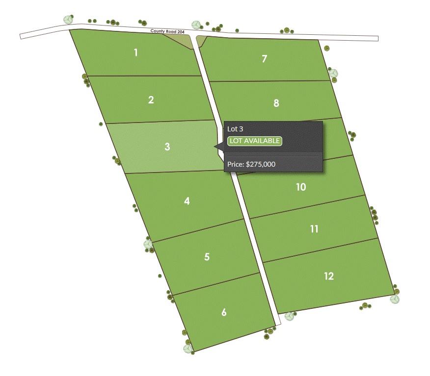 1115 Tract 3 - County Road 204 — photo 4