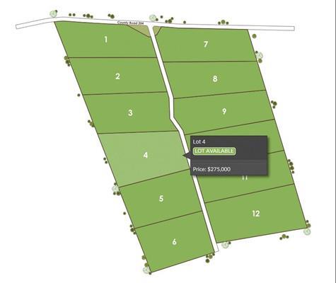 1115 Tract 4 - County Road 204 — photo 4