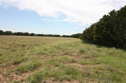 1115 Tract 4 - County Road 204 — photo 5