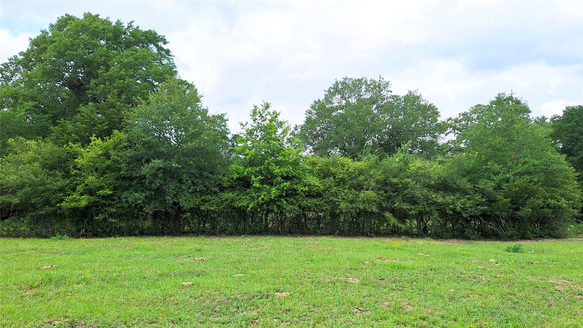 18155 Wellmann RD — photo 4