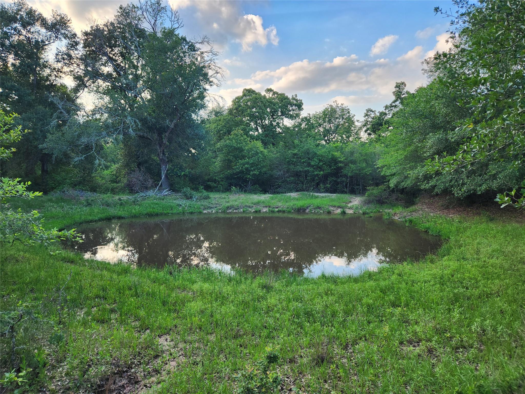18155 Wellmann RD — photo 5