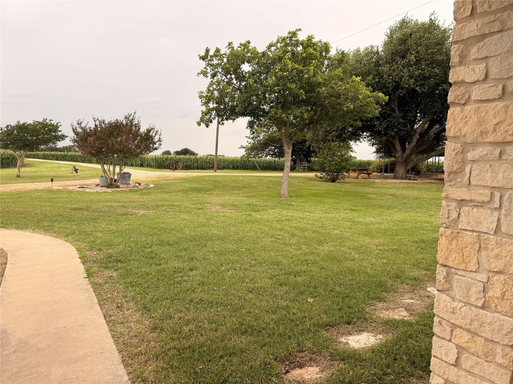 5600 Fm 1466 — photo 4