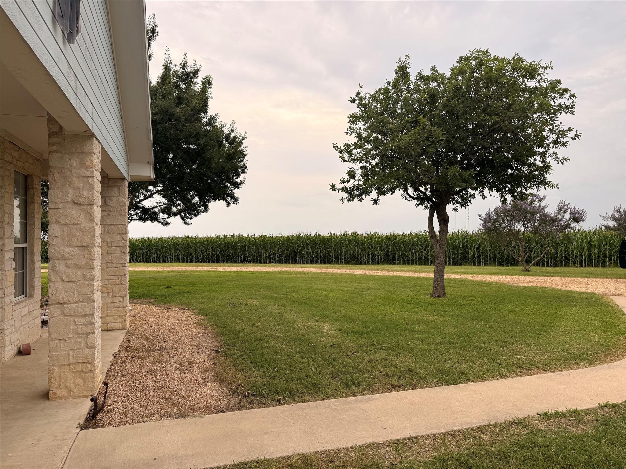5600 Fm 1466 — photo 5