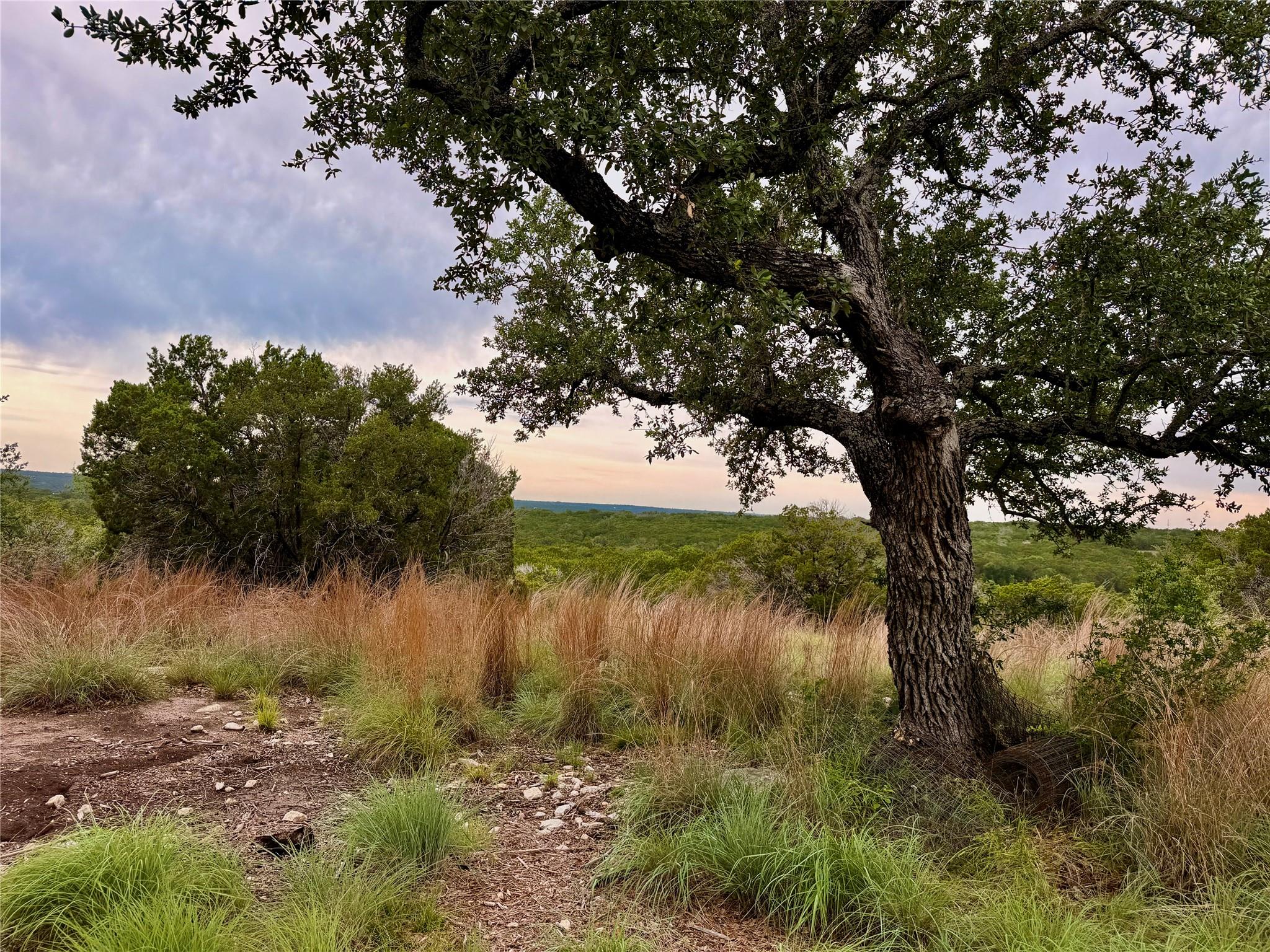 2017 County Road 222 — photo 5