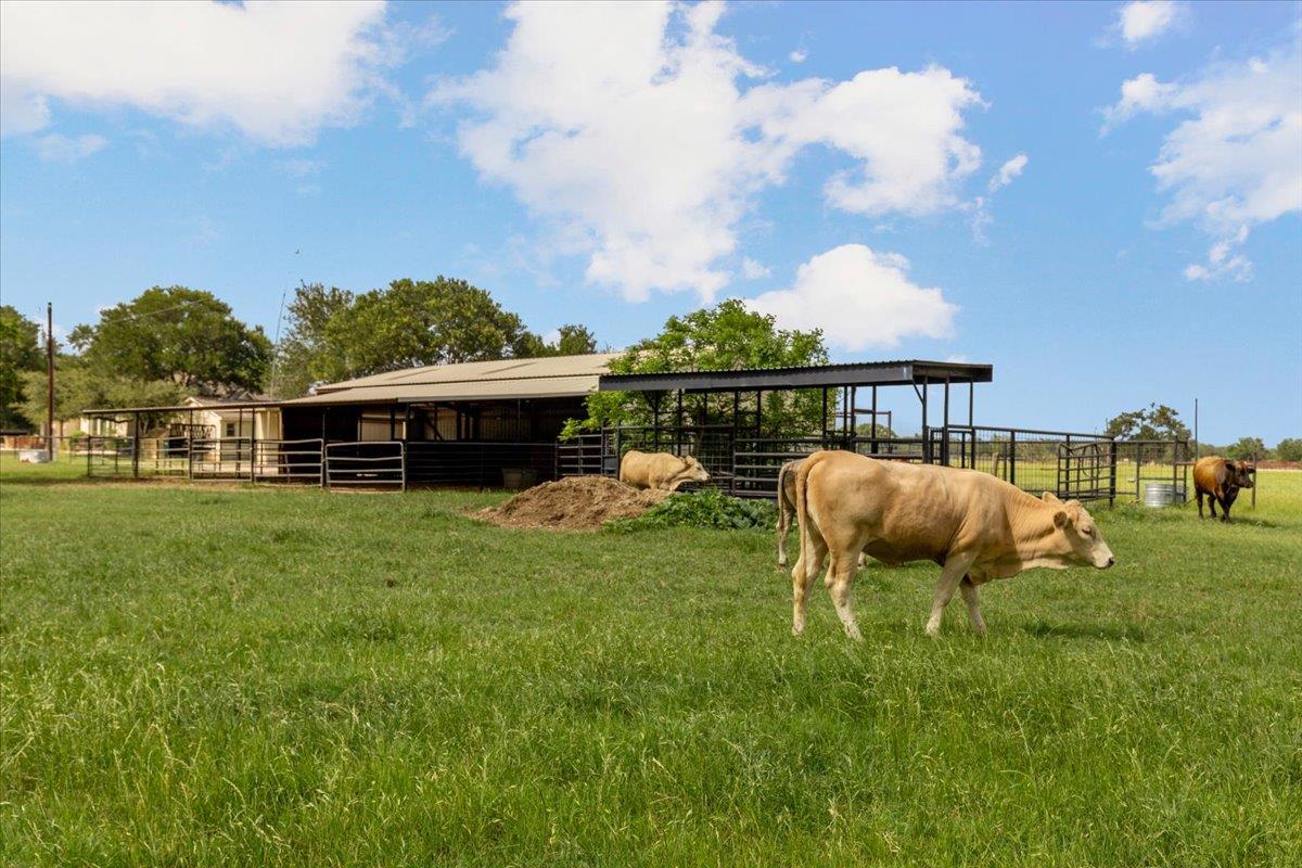 4140 County Road 467 — photo 5