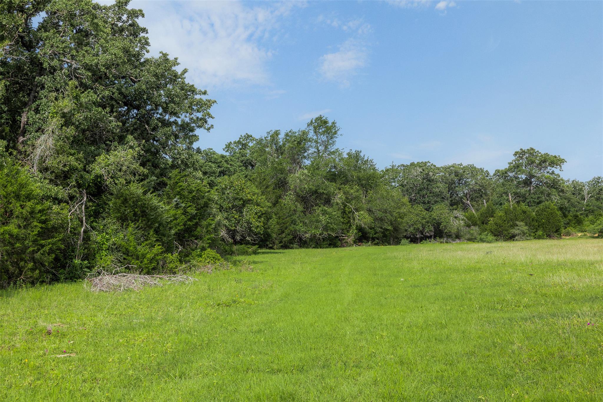 TBD County Road 459 RD — photo 3