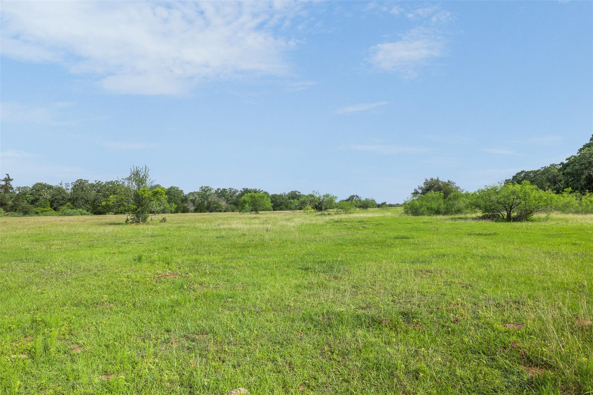 TBD County Road 459 RD — photo 4