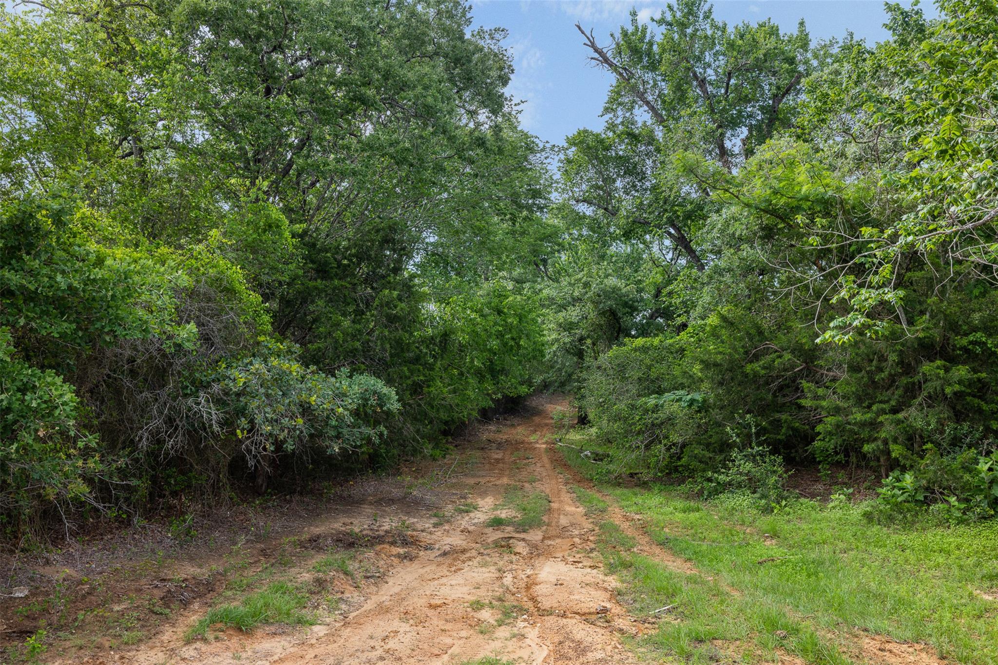 TBD County Road 459 RD — photo 5
