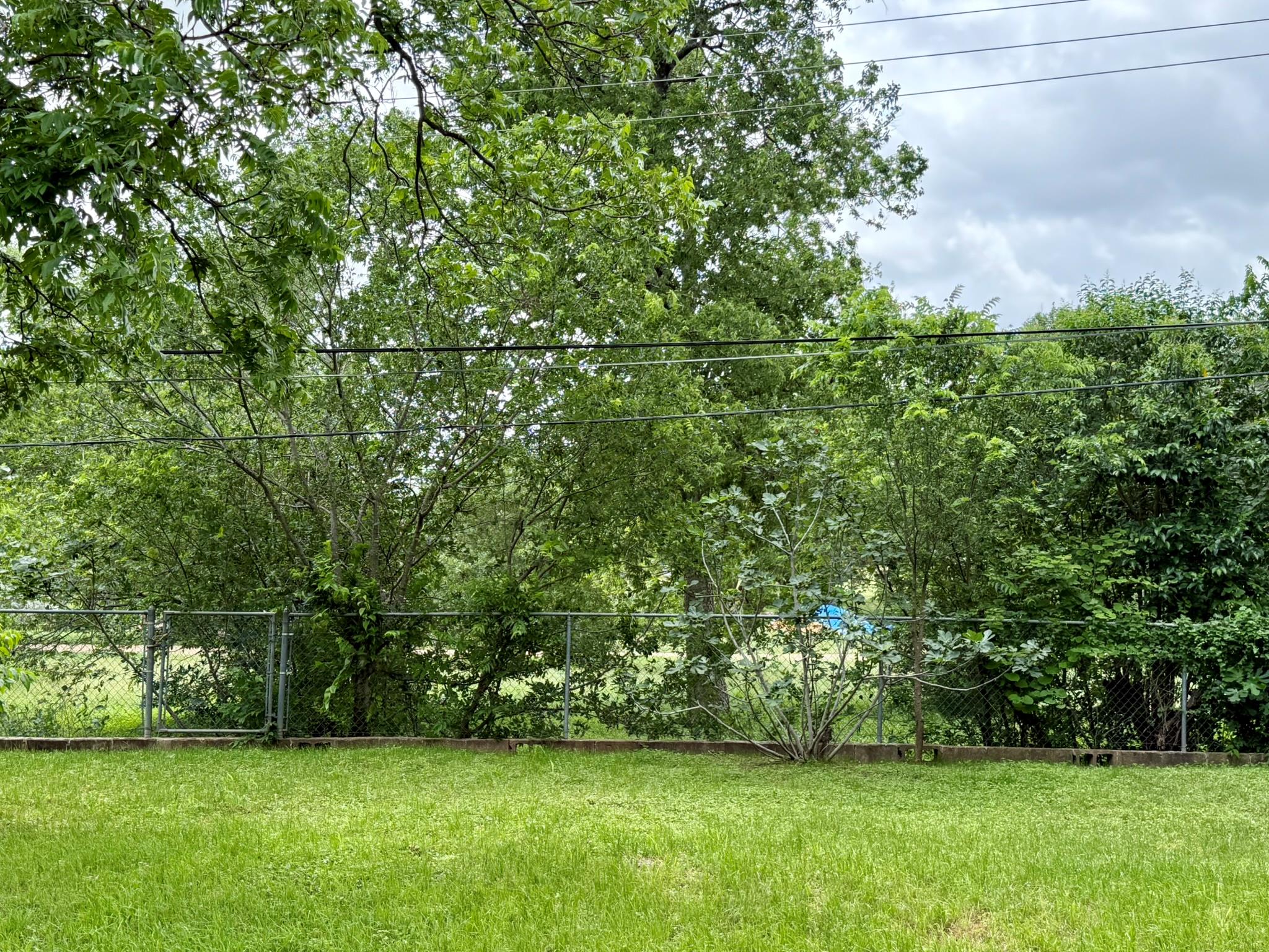 11507 Oak TRL — photo 4