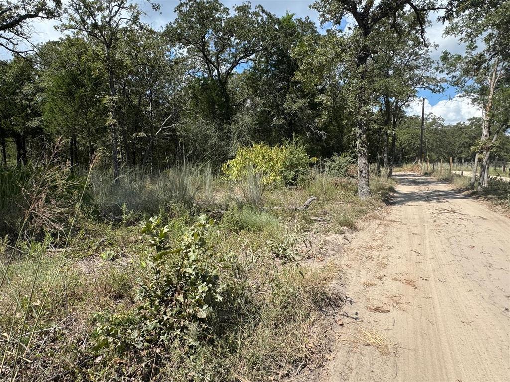 [Lot 2] 000 Jordan LN — photo 4