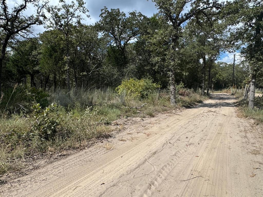 [Lot 2] 000 Jordan LN — photo 5
