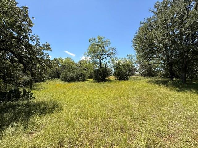 Lot 8009 Tee Off — photo 3