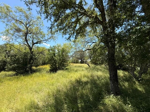 Lot 8009 Tee Off — photo 4