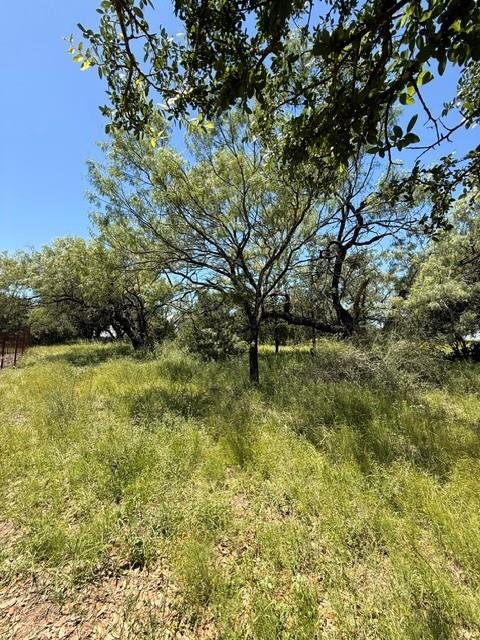 Lot 8009 Tee Off — photo 5