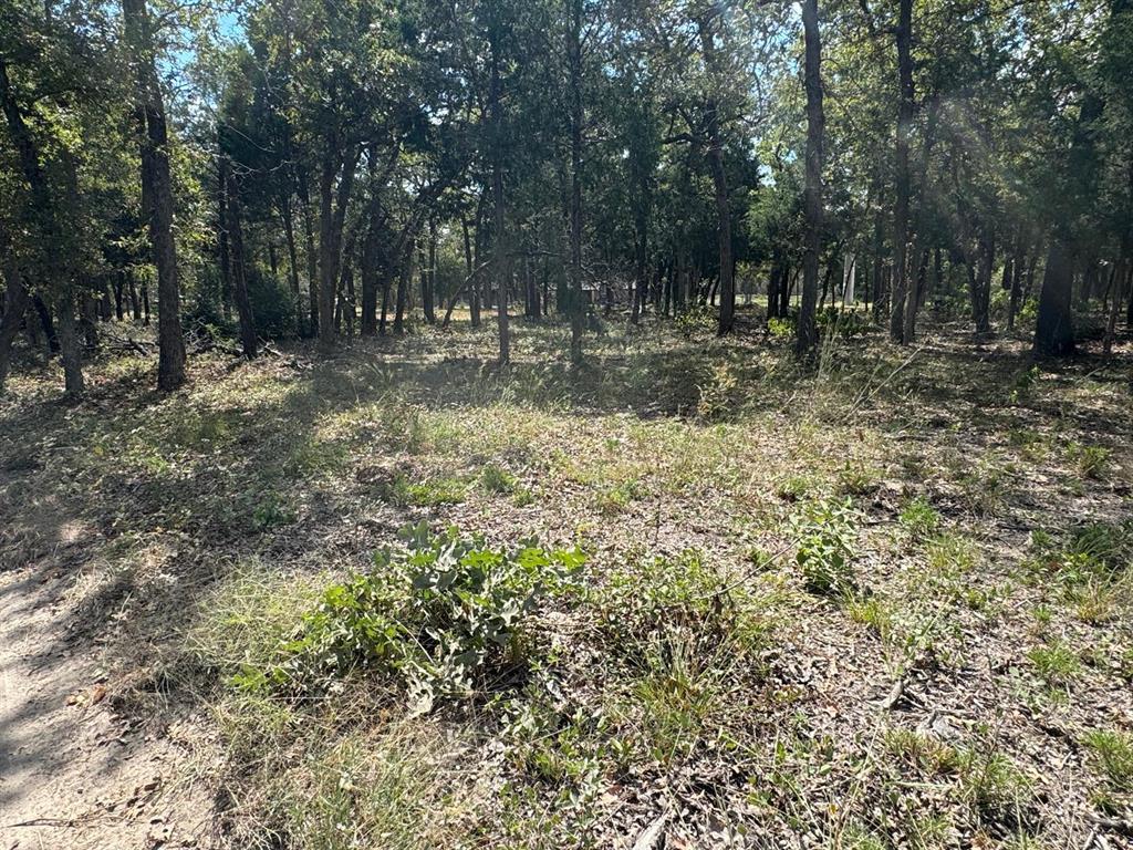 [Lot 1] 000 Jordan LN — photo 3