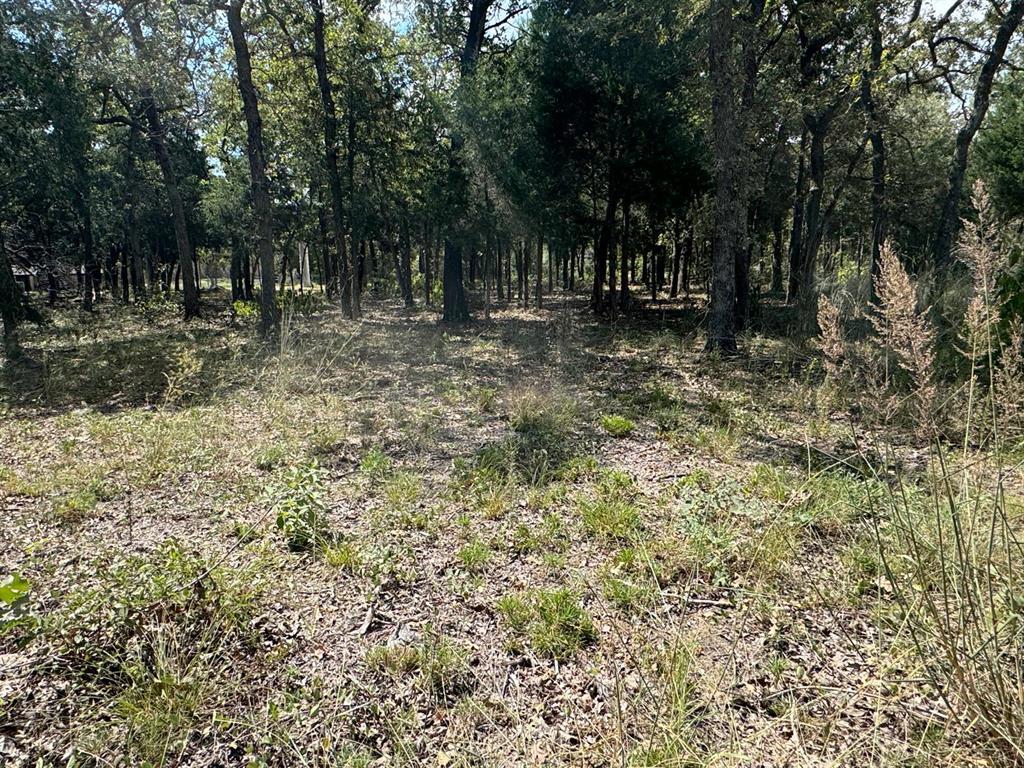 [Lot 1] 000 Jordan LN — photo 5