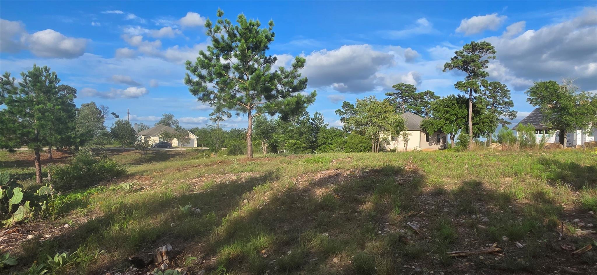 400 McAllister RD — photo 4