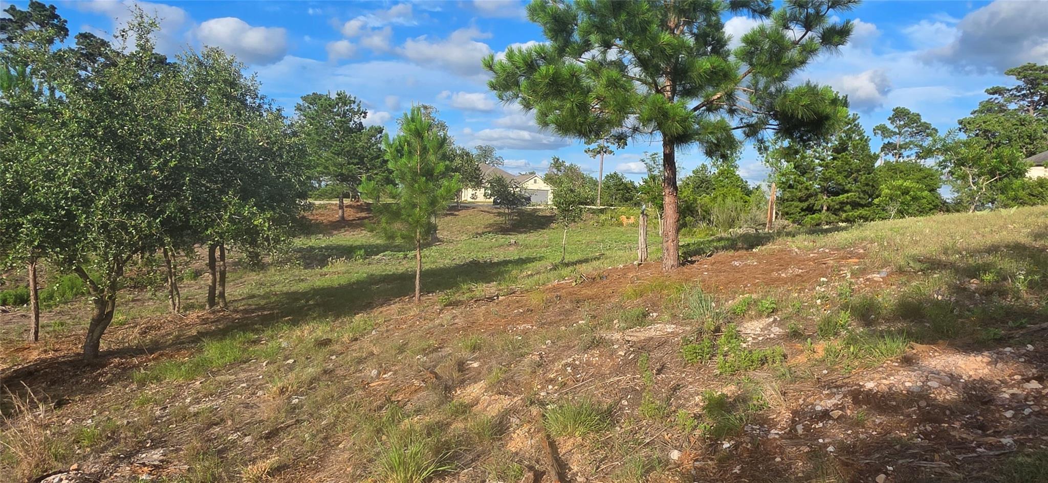 400 McAllister RD — photo 5