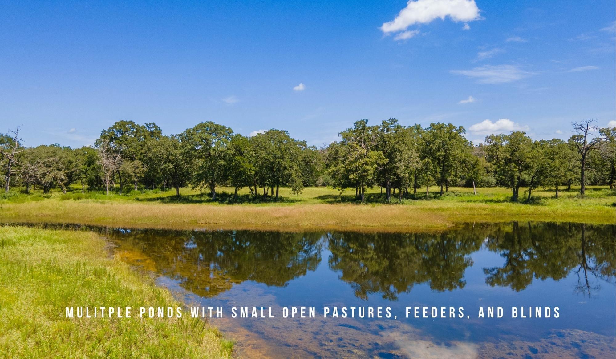 TBD County Road 405 (+/- 839 acres) — photo 3