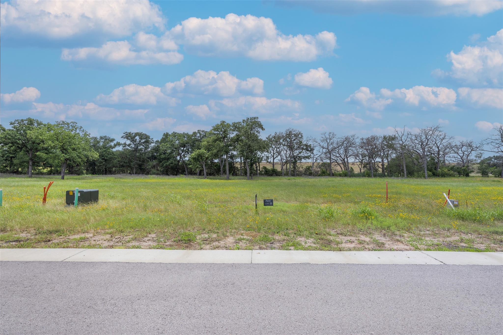 TBD Lot 15 Lake Day DR — photo 4