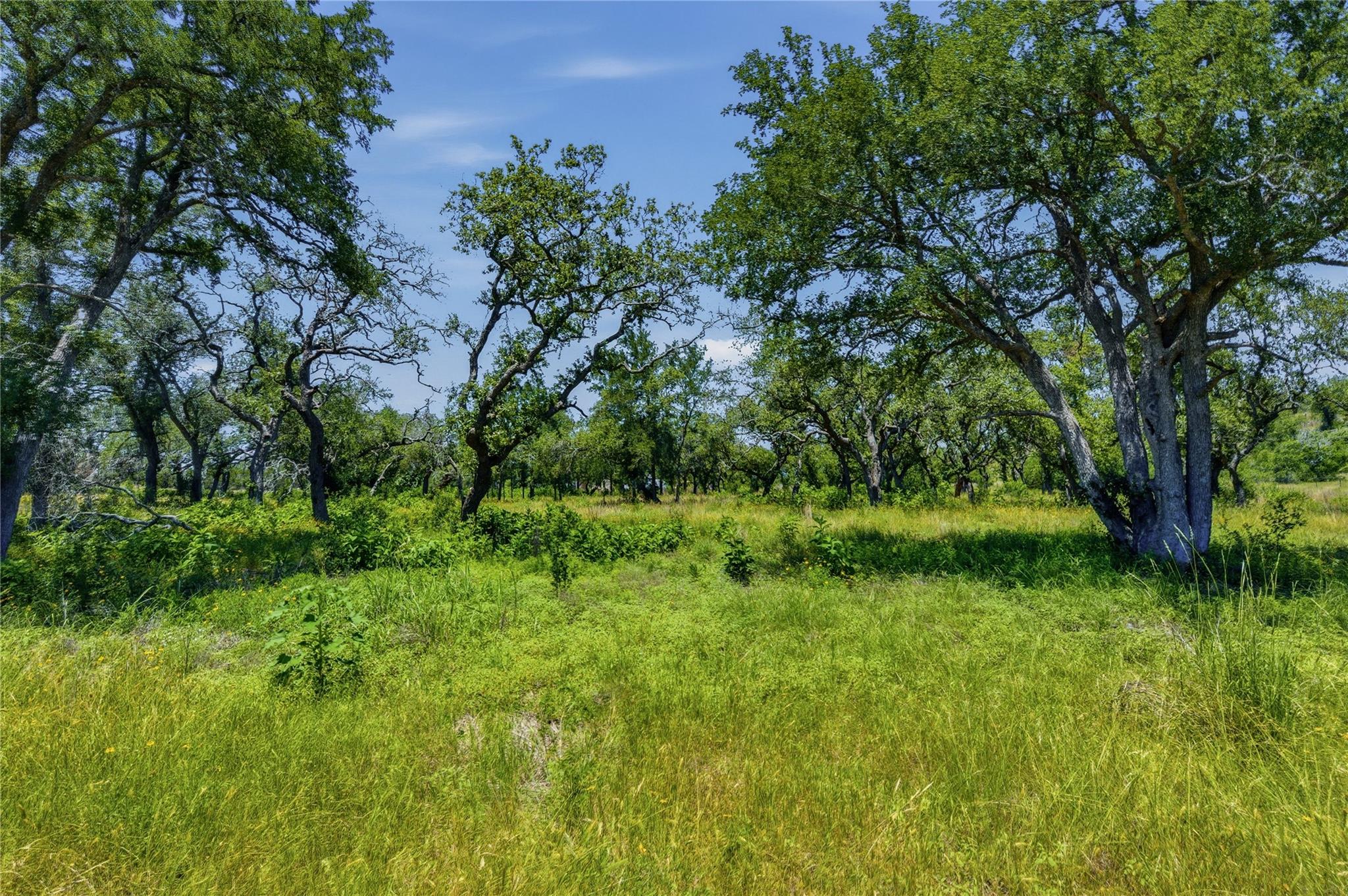 623 Whiskey TRL — photo 3