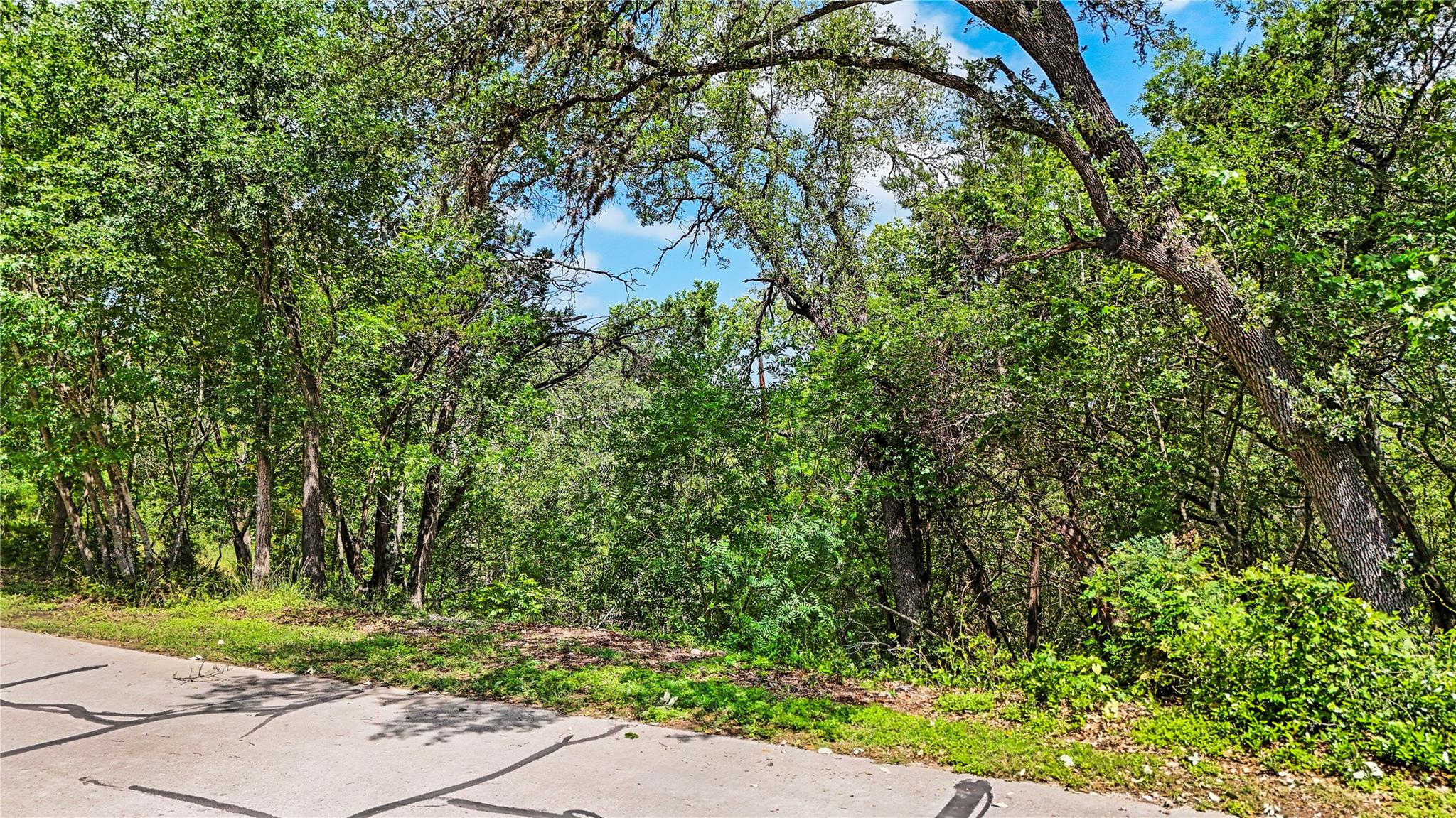 730 River Oaks DR — photo 3