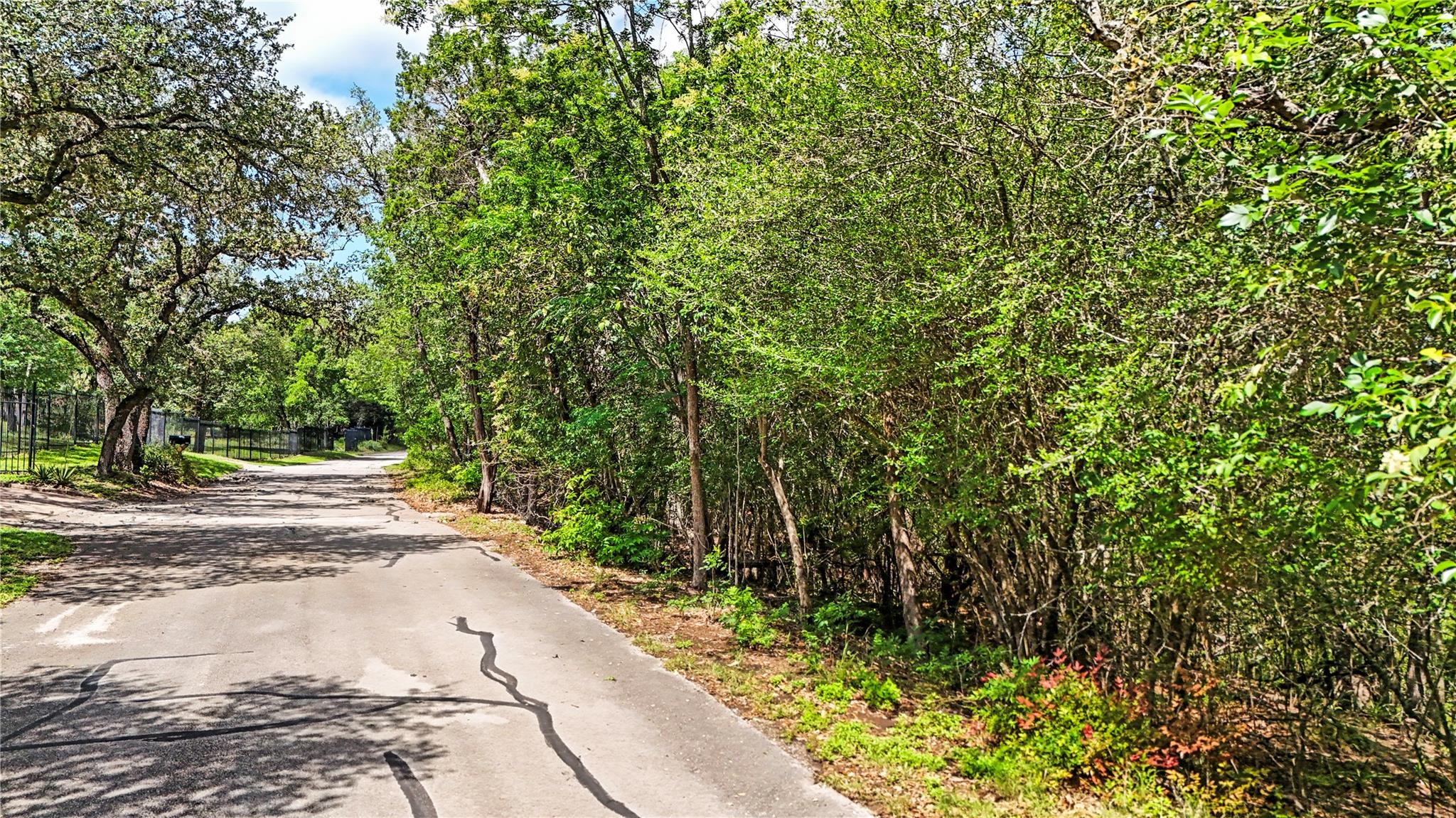 730 River Oaks DR — photo 4