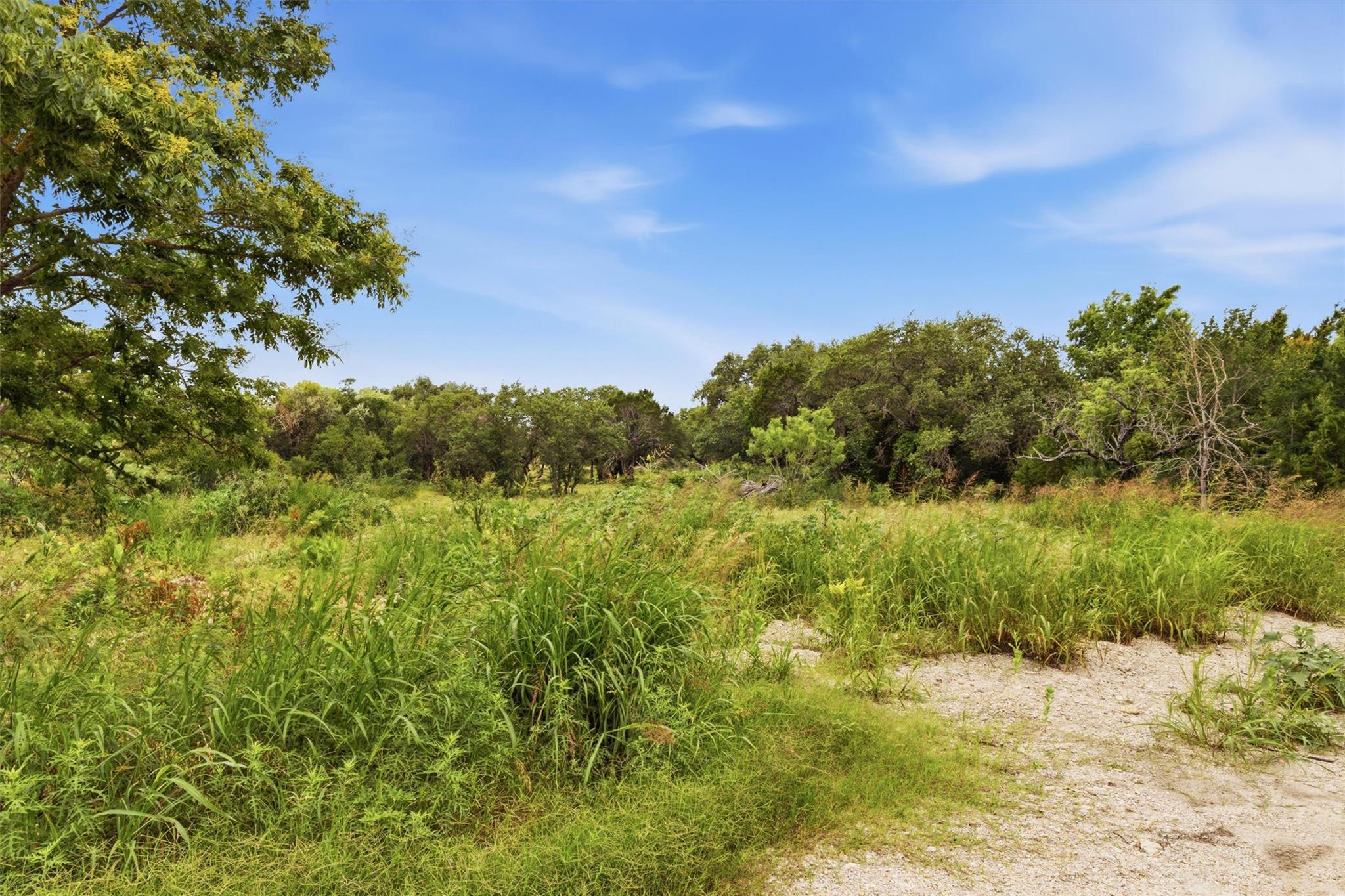 319 Sunset DR — photo 4
