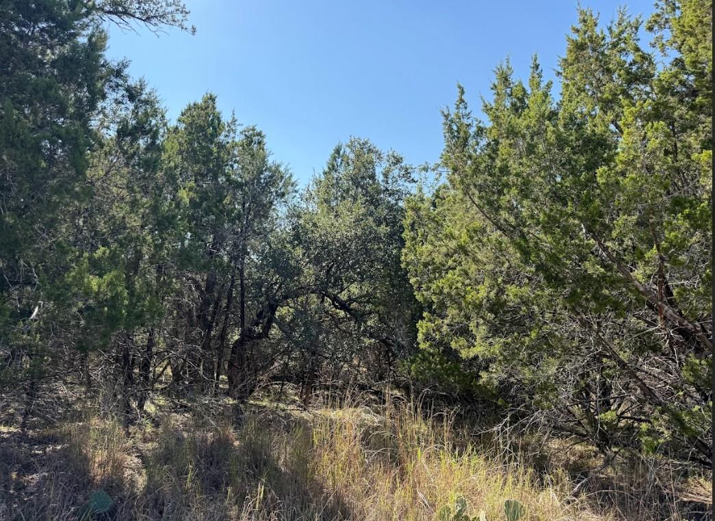 Lot K10037 Drew Drop — photo 3