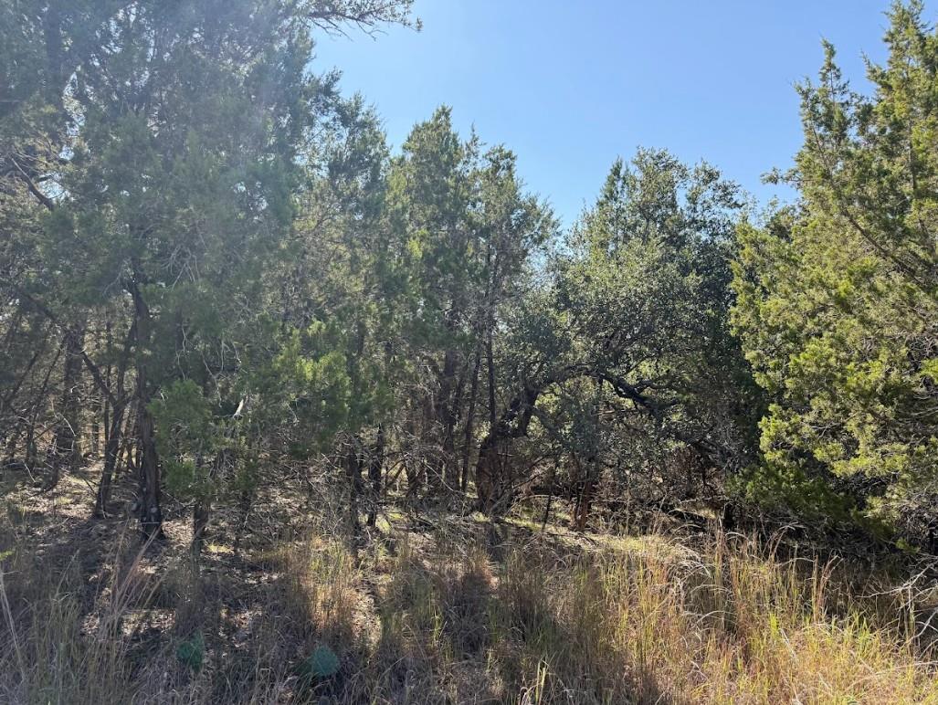 Lot K10037 Drew Drop — photo 4