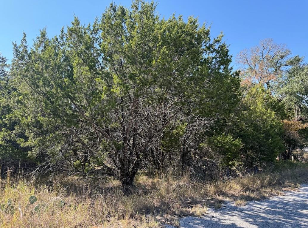Lot K10037 Drew Drop — photo 5