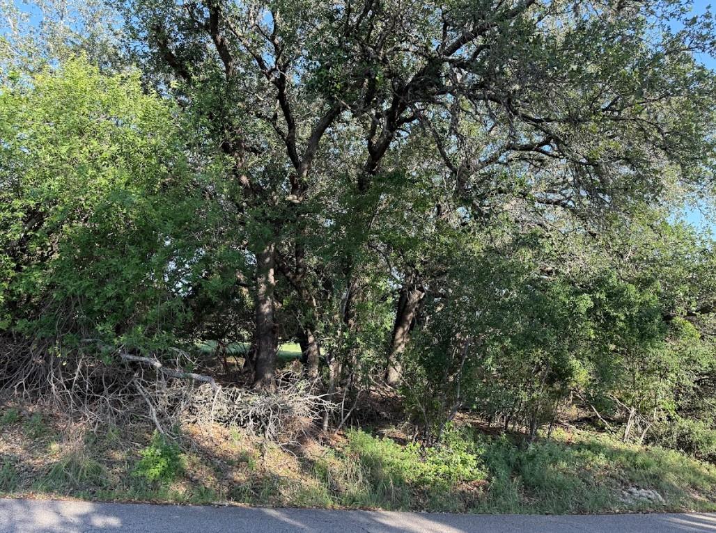 4209 Rockwood DR — photo 4