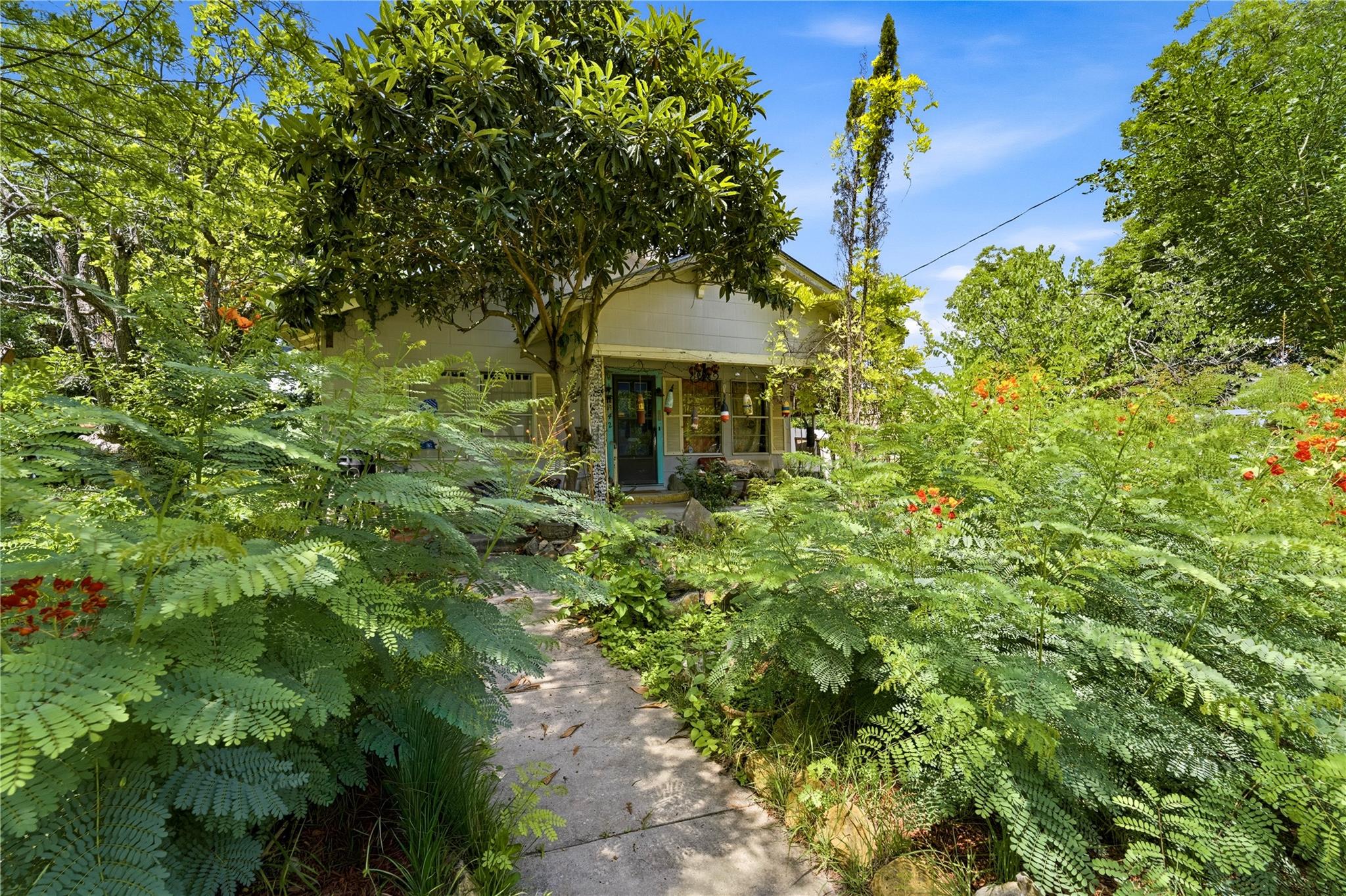 242 Sycamore Ave — photo 3
