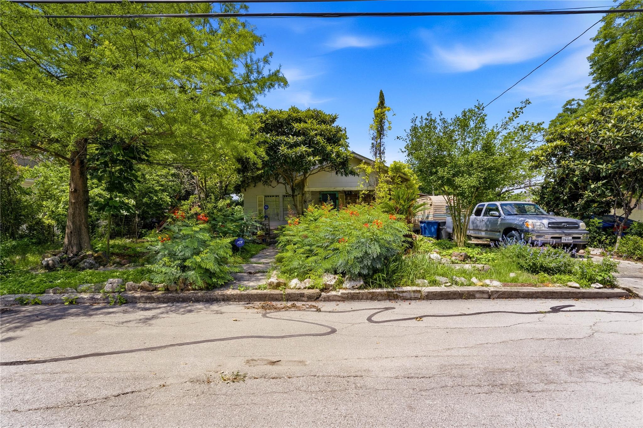 242 Sycamore Ave — photo 5