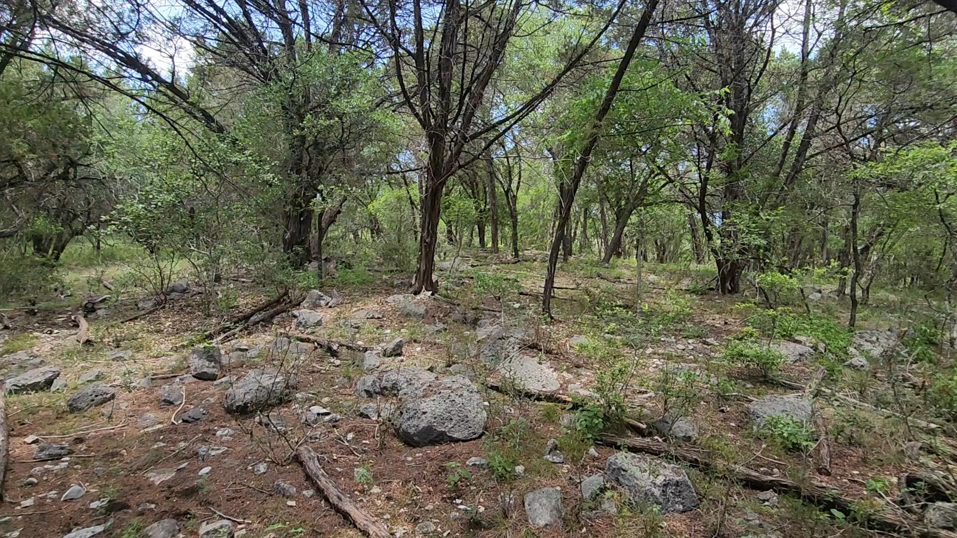 410 Owl Hollow RD — photo 3