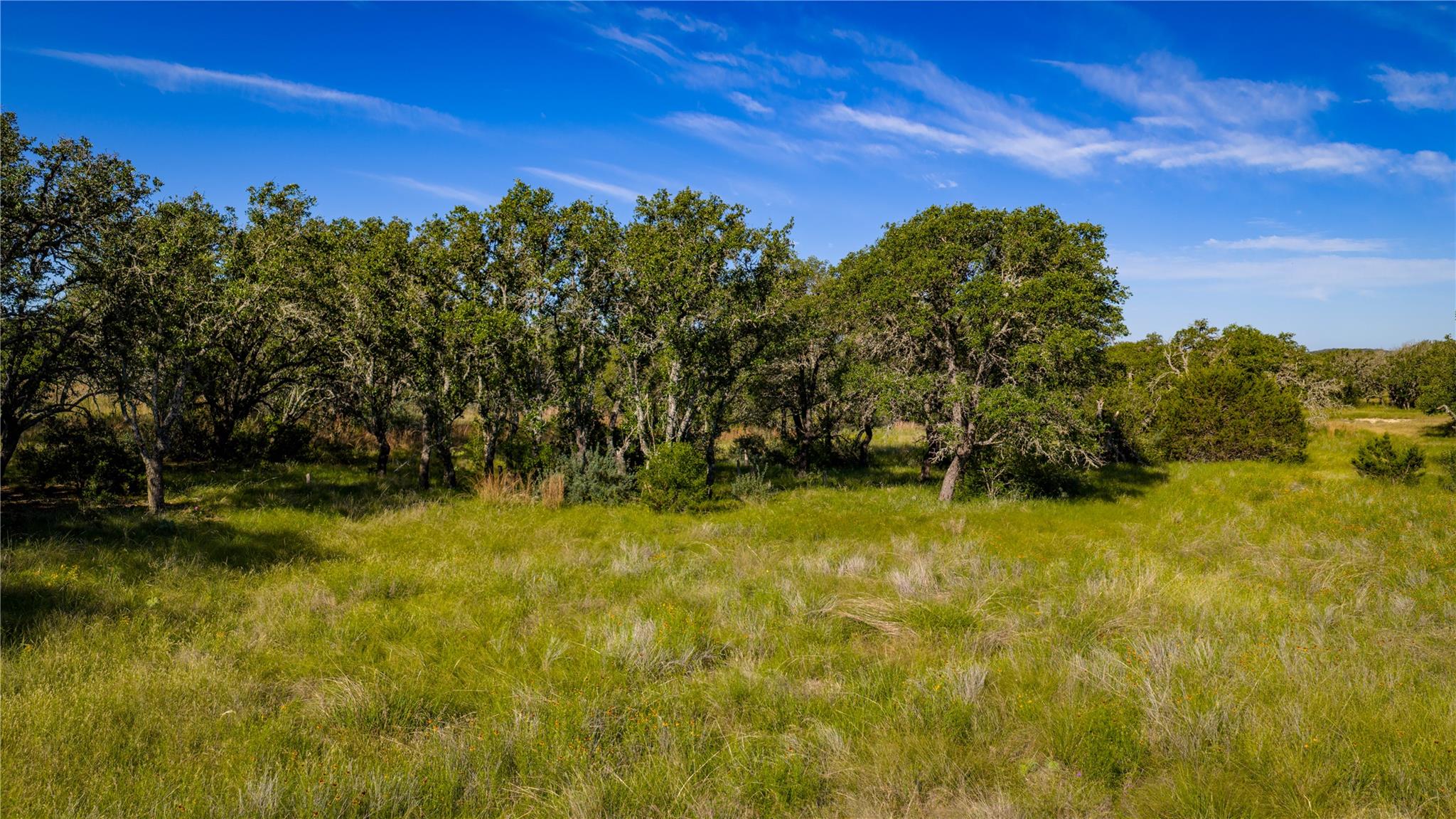 3276 Link RD — photo 5