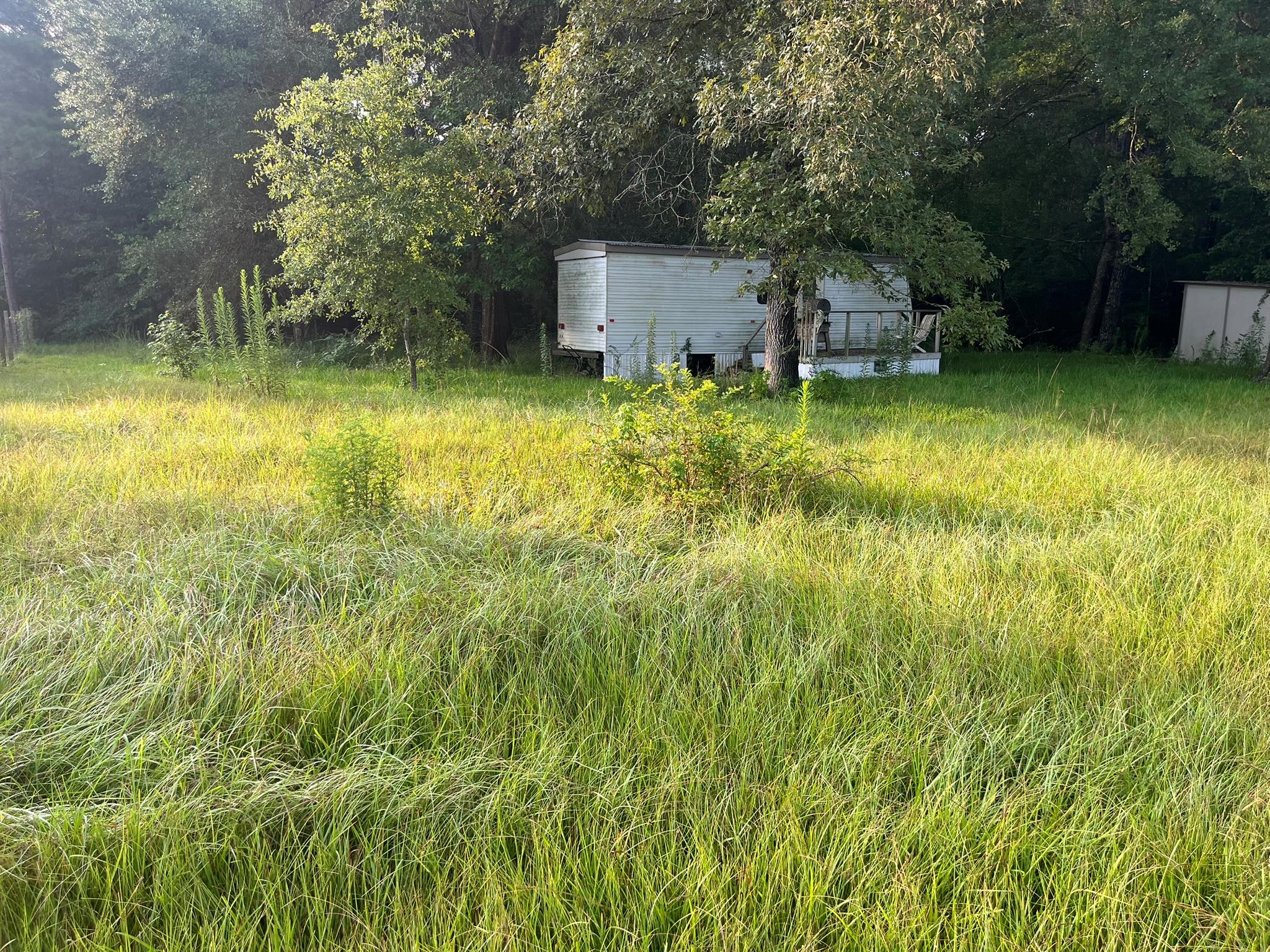 26312 Hunters TRL — photo 4